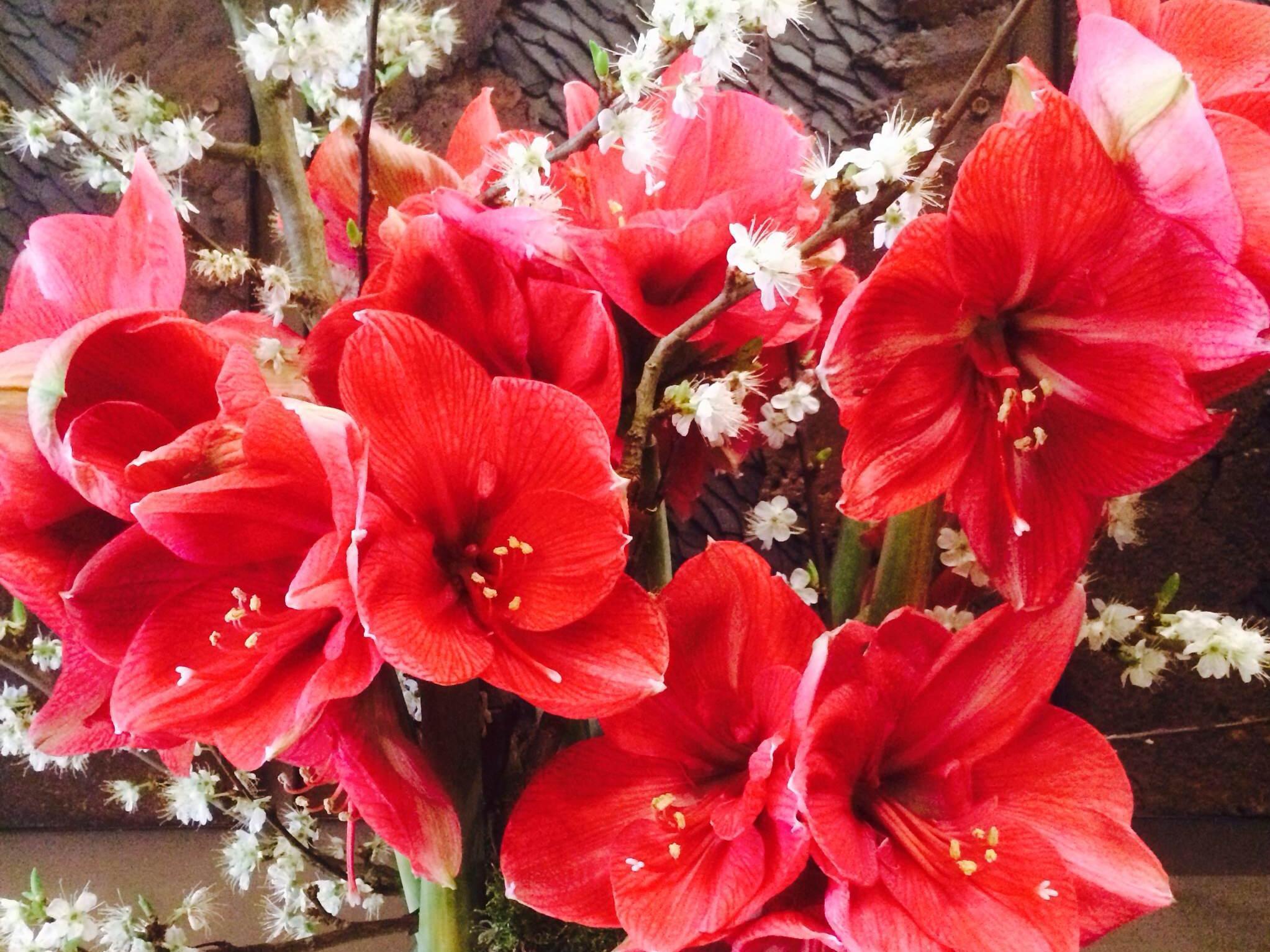 Saxe Eiffel Hotel Parigi